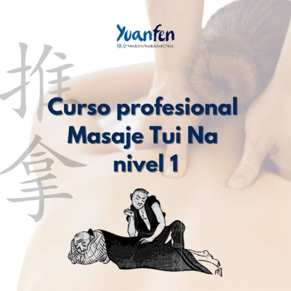Curso Profesional Masaje Tui Na