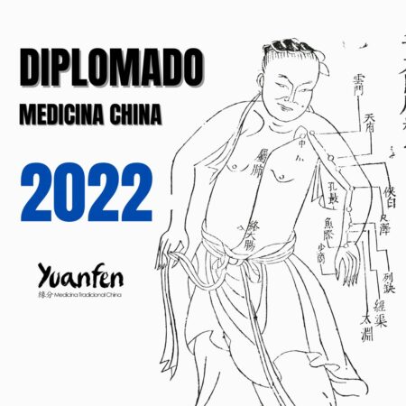 Diplomado en Medicina China y Acupuntura (primer año)